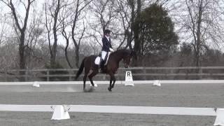 Beall Spring Raquel, First horse show