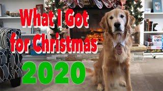 What my SERVICE DOG got for Christmas || 2020