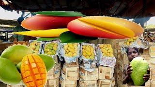 Pakistani Special Mango | Premium export Quality mango | Daily fruit Mandi update |