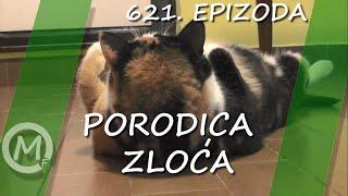 Porodica Zloća - Epizoda 621 (Season 14)