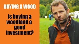 Buying a Wood: Is buying a woodland a good investment?