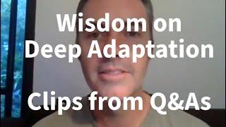Wisdom on Deep Adaptation - clips from 3 years of DA Q&As
