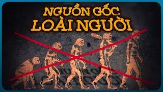 Nguồn Gốc Loài Người (Full): Nếu Không Phải Tiến Hóa Thì Chúng Ta Được Sinh Ra Từ Đâu?