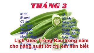 Lịch Gieo Trồng Rau trong năm cho năng suất tốt chị em nên biết