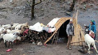 This is Beautiful Himalayan Village Shepherd Life|| Organic Food Cooking || Village Life 1..