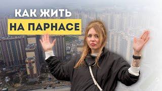 КАК ЖИТЬ НА ПАРНАСЕ | КАК НАС ОБМАНУЛИ ПОКУПКЕ КВАРТИРЫ | ВЫСОТКИ ПАРНАСА | РАЙОНЫ СПБ