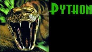 Python / Music video