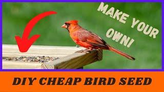 How To Make Your Own Bird Food - Cheap!