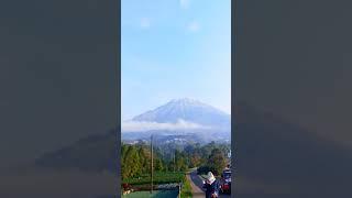 Suasana pagi di lereng Sumbing Kajoran Magelang  #nature