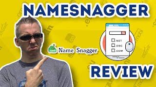 NameSnagger Review - Get High Value Expired Domains Daily