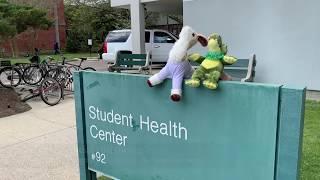 Tulane Campus Health Social Distancing Guidelines