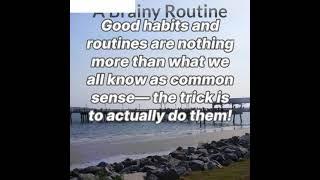 A Brainy Routine - The Science of Self by Peter Hollins