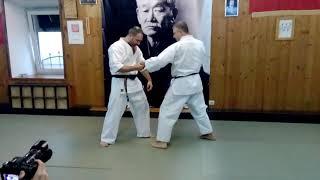 Oyama karate Kyokushinkai / round techniques/ Sensei Ashrafov 5 Dan