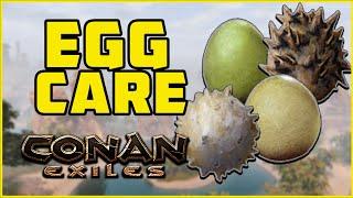 Egg Care for Pets | Conan Exiles 2019