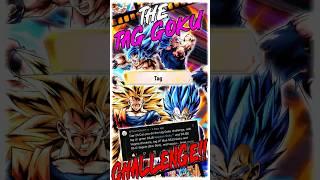The TAG GOKU Challenge?! Using BOTH Goku AND Vegeta in Dragon Ball Legends PVP