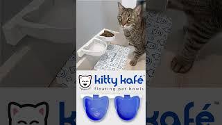 Got Robot Vacuums? : Keep Kitty's Bowls Safe from Robot Vacs  with Kitty Kafé Floating Pet Bowls 