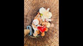 Baih lamtak a Pateh zon didan| Mushroom(Pateh) hunting