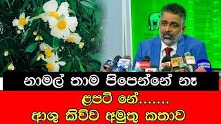 නාමල් තාම පිපෙන්නේ නැ  ළපටි නේ ... ආශු කිව්ව අමුතු කතාව #mojonewslk