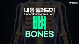 Bones [Understanding Your Body]