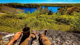 Hiking Trails And Found A BEAR While Searching For Camping Locations