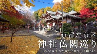 The Garden of Kyoto | 京都 神社仏閣巡り