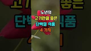 노년에 고기만큼 좋은 단백질 식품 4가지  #지혜 #명언  #좋은글 #건강 #shorts