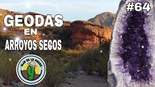 AMATISTAS, GEODAS Y CRISTALES. MUCHOS EN UN ARROYO SECO VOLCÁNICO. AVENTURA CON HIJO DE LA PACHA #64