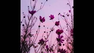 [FREE] Acoustic Hip-Hop Type Beat - "Mountains" (prod. tonibeats)