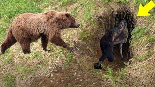 The Missing Tourist Was Located Inside A Bear Den. Then The Bear's Actions Left Everyone Stunned