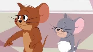 TOM ET JERRY