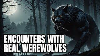 Livestream #282 - Werewolves/Dogman, Paranormal Encounters