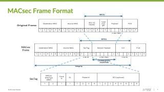 400G Line Rate MACsec on PTX10008 Router