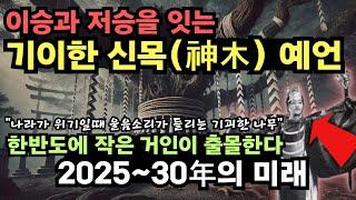 위기때마다 눈물을 흘리는 기괴한 나무, 이즈모의 신목(神木)이 보여주는 2025년부터 2035년의 미래 [예언] [미스터리]