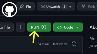 Run Code Directly without Downloading from Github