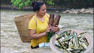 Technique for trapping poisonous fish with bamboo. Cook and build a farm _ Thuy Building farm