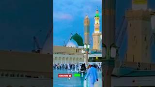 islamic video️️‍🩹#youtube #ali2024