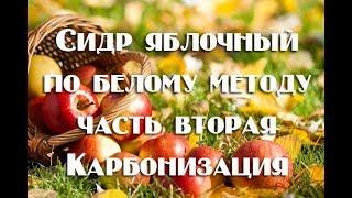Газированный домашний яблочный сидр: 2 часть (стабилизация и карбонизация)