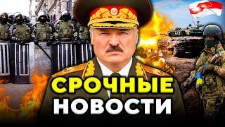 К чему готовится Полк Калиновского? Лукашенко шокировал условиями. В Беларуси НАЧАЛОСЬ // Новости