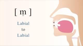 [ m̥ ]  unvoiced bilabial  nasal stop