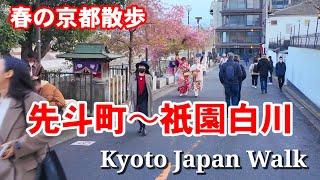 3/21(木)春の京都散歩 先斗町〜祇園白川周辺ぐるり歩く【4K】Kyoto Japan Walk