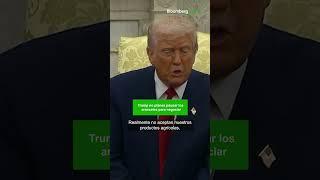 Trump no planea pausar los aranceles para negociar