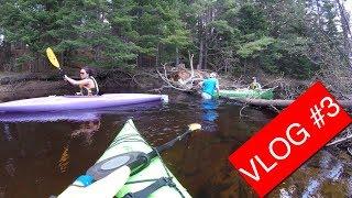 Algonquin Provincial Park Mew Lake in 4K ULTRA HD - Travel VLOG #3