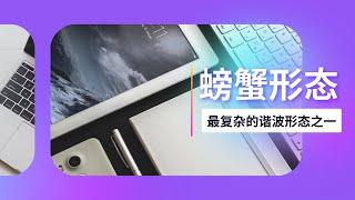 【谐波理论】螃蟹形态——最复杂的谐波形态之一