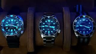 LUME TEST 2023 COMPARISON - ADDIESDIVE H8-CW -  SEIKO 5 SPORTS SRPD55K1 - CASIO  MARLIN MDV106-1A