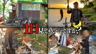 【1日密着】台風で流れてきた小屋に住むホームレスと猫30匹の1日密着。