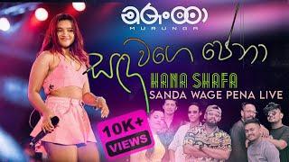 Sanda Wage Pena (සද වගේ පේනා) | Hana Shafa | MURUNGA (Live Performance)