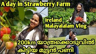 Day in My Life/Travel Vlog/Best Places to Visit in Ireland/Ireland Malayalalam Vlog/Life in Ireland