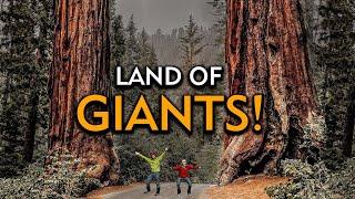 THINGS TO DO in Sequoia National Park