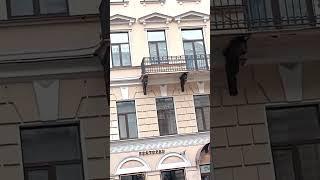 Большая Морская улицаПетербург.