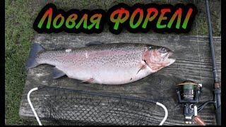 Ловля Форели. Лучшие приманки на форель.Советы и техника ловли  форели на платнике. Рыбалка в Дании.